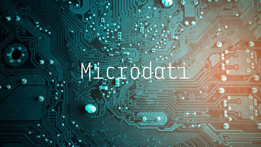Marketing e microdati