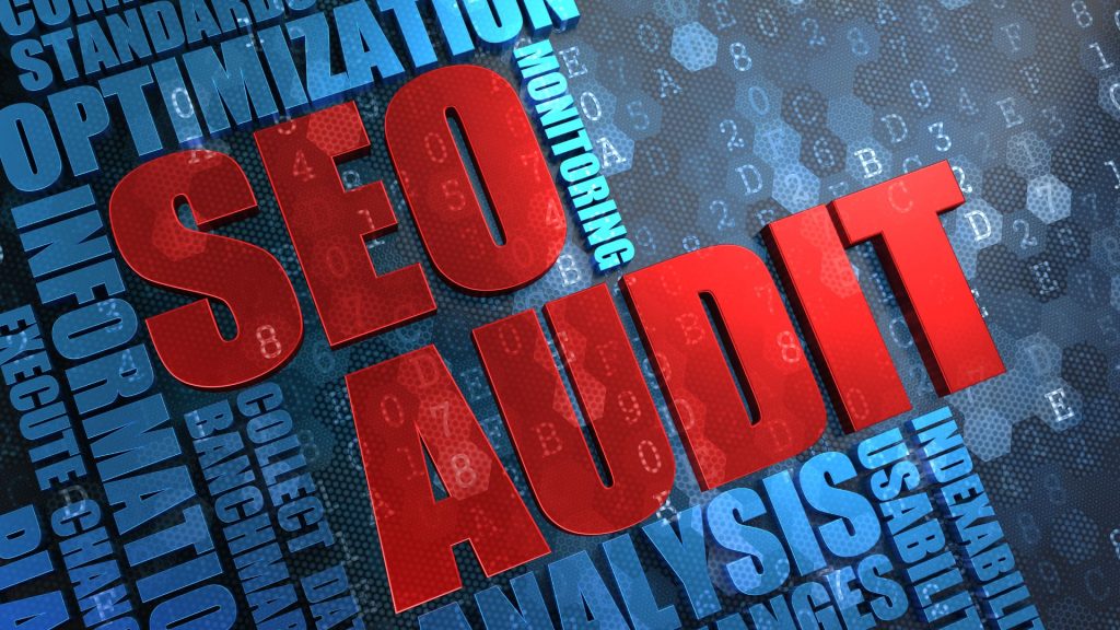 microdati - Seo Audit