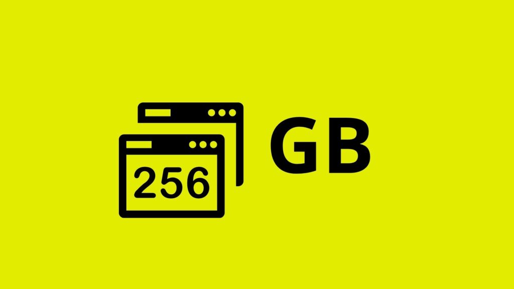 256 Gb