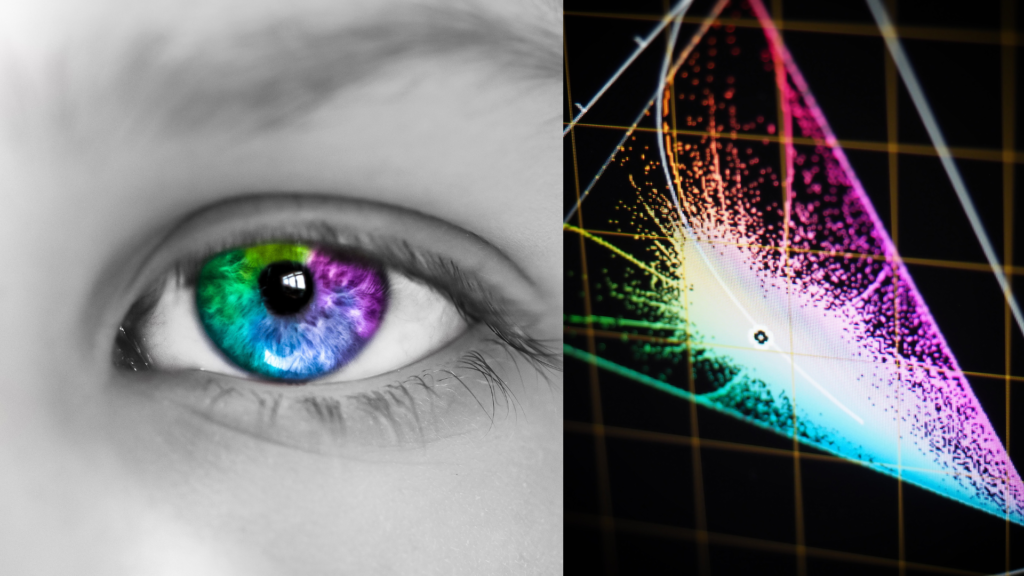 photoshop correzione colore