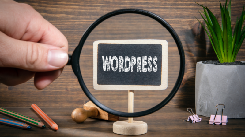Termini WordPress